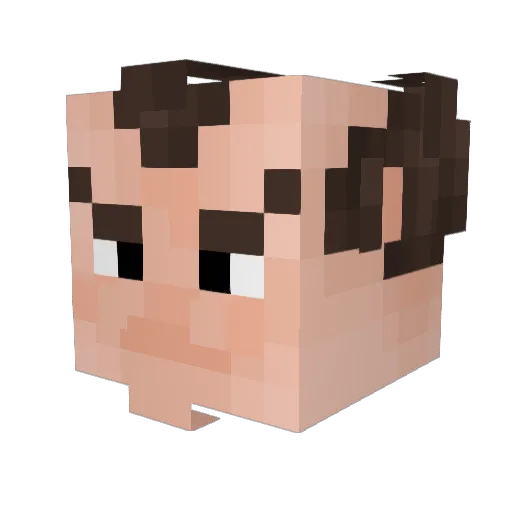 Trashboat1122 Minecraft avatar head, 3D render