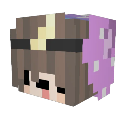 Trashbois Minecraft avatar head, 3D render
