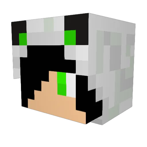 TrashedInky Minecraft avatar head, 3D render