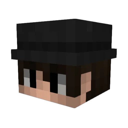 TrashedR_ Minecraft avatar head, 3D render