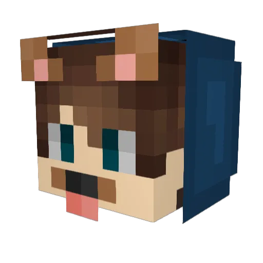 Trasher_420 Minecraft avatar head, 3D render