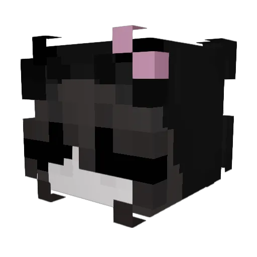 Trashno1 Minecraft avatar head, 3D render