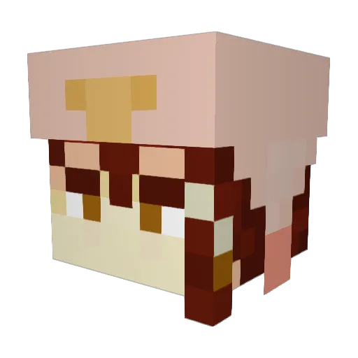 Trashwe Minecraft avatar head, 3D render
