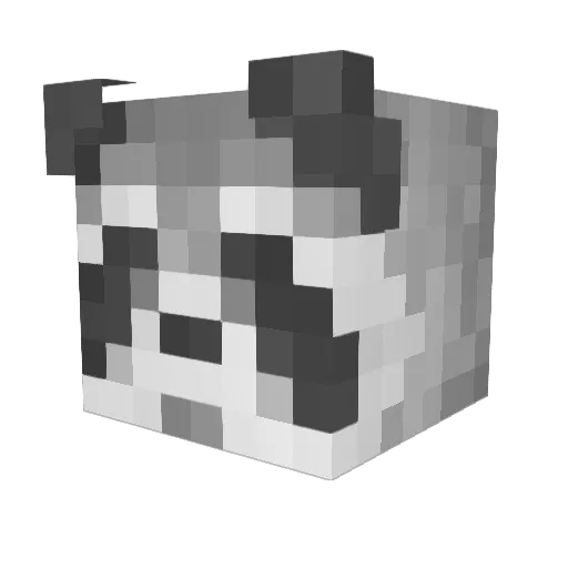 Trashy_TM Minecraft avatar head, 3D render