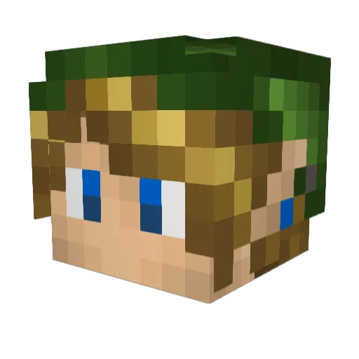 Trashyleon1991 Minecraft avatar head, 3D render