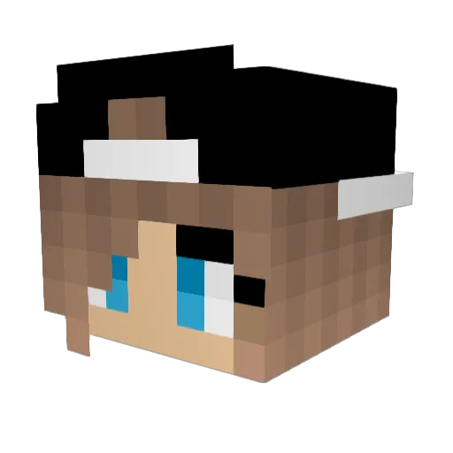 TraubenLara Minecraft avatar head, 3D render