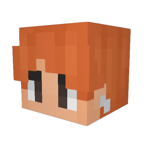 Trauman99 Minecraft avatar head, 3D render