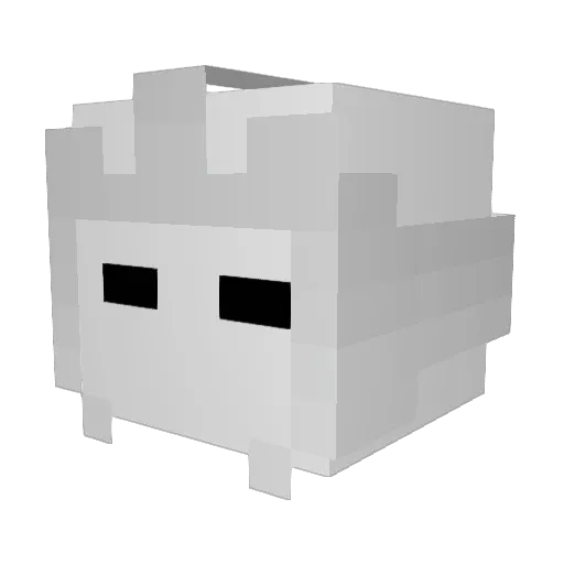 Traunfugil Minecraft avatar head, 3D render