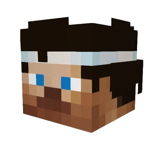 Trausi Minecraft avatar head, 3D render