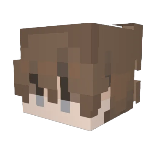 Travase21 Minecraft avatar head, 3D render