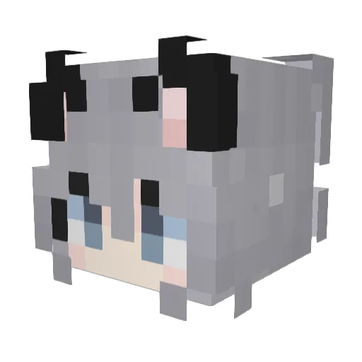 TraveLMaybe Minecraft avatar head, 3D render