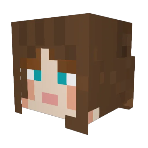 TravelKoala Minecraft avatar head, 3D render