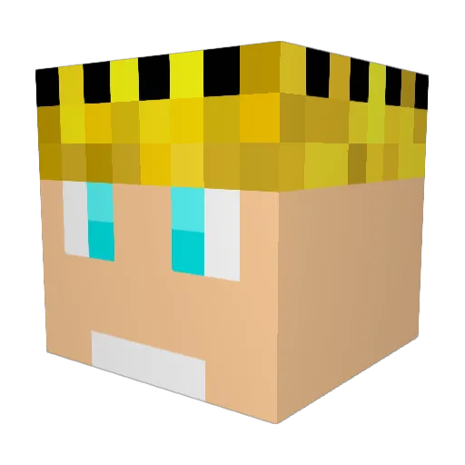 TravelinBowler Minecraft avatar head, 3D render