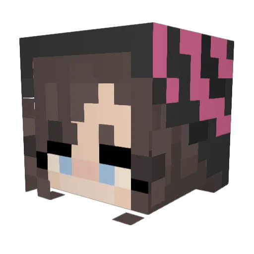 TravelingMan357 Minecraft avatar head, 3D render