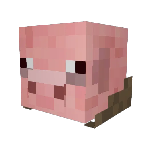 Travelingpig Minecraft avatar head, 3D render