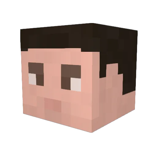 TravisBicklee Minecraft avatar head, 3D render
