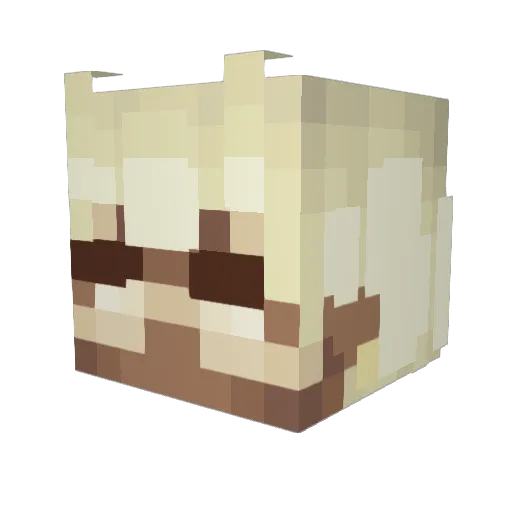 Travis_222 Minecraft avatar head, 3D render