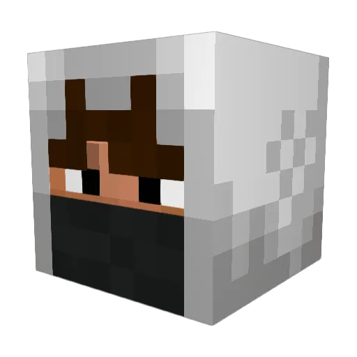Travisrice123 Minecraft avatar head, 3D render