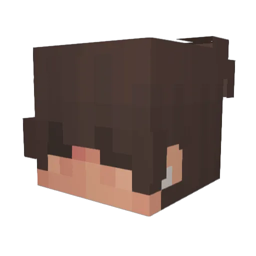 Travz97 Minecraft avatar head, 3D render