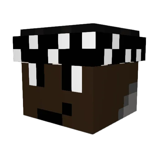 Traxzy Minecraft avatar head, 3D render