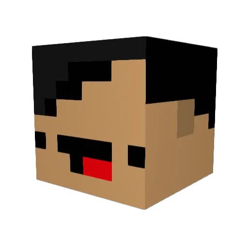Tray214 Minecraft avatar head, 3D render