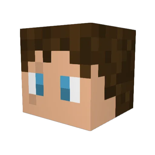 TrayTrayTurtle Minecraft avatar head, 3D render