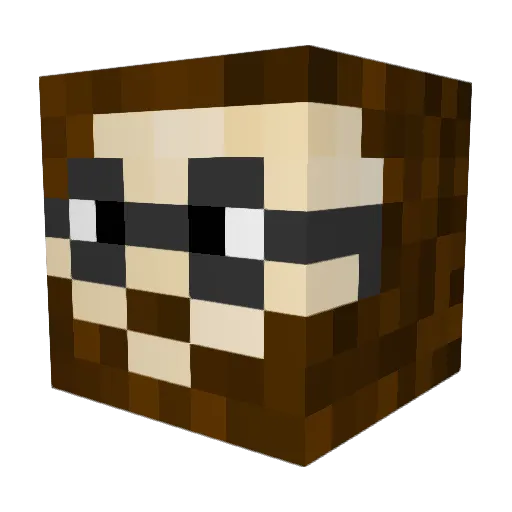 Trayfall Minecraft avatar head, 3D render