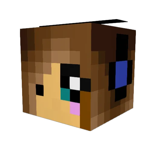 Traymc30 Minecraft avatar head, 3D render