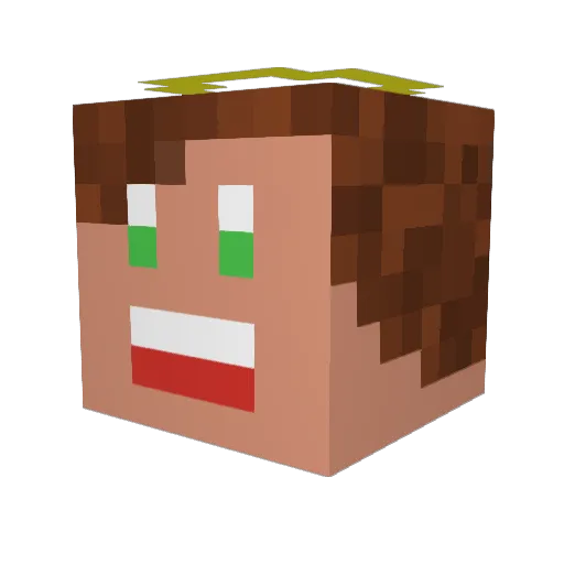Trayon_ Minecraft avatar head, 3D render