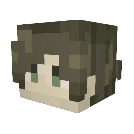 Trayorkies Minecraft avatar head, 3D render