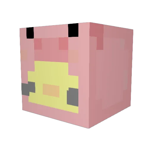 Trbk Minecraft avatar head, 3D render
