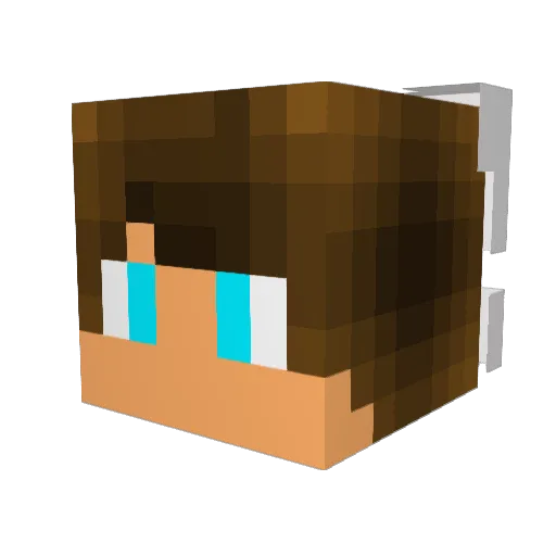 Treal420xx Minecraft avatar head, 3D render