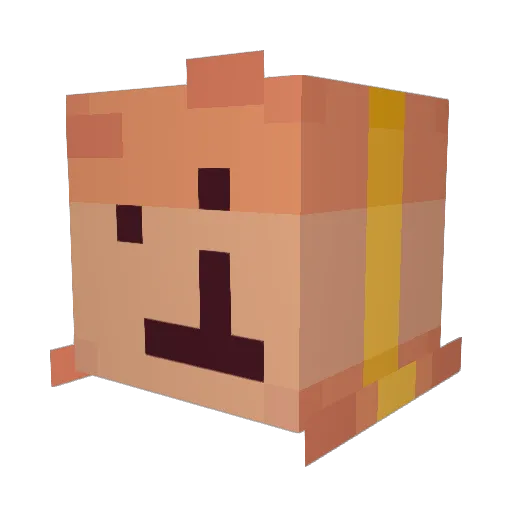 Treasonist Minecraft avatar head, 3D render