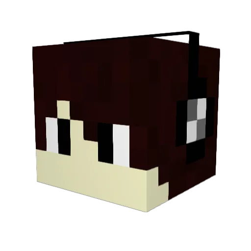 TreasureHunter54 Minecraft avatar head, 3D render