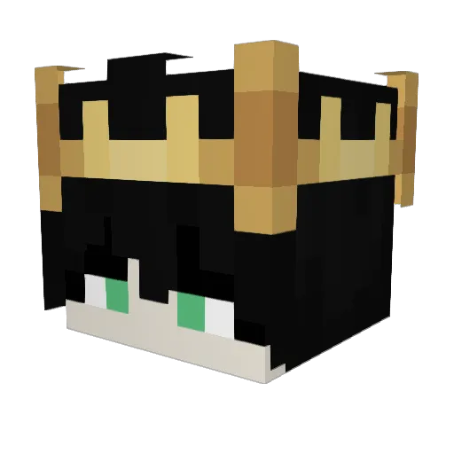 TreasurePeace Minecraft avatar head, 3D render
