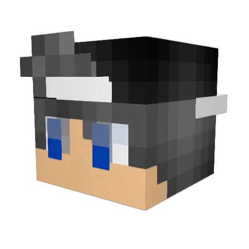 Treasxs Minecraft avatar head, 3D render