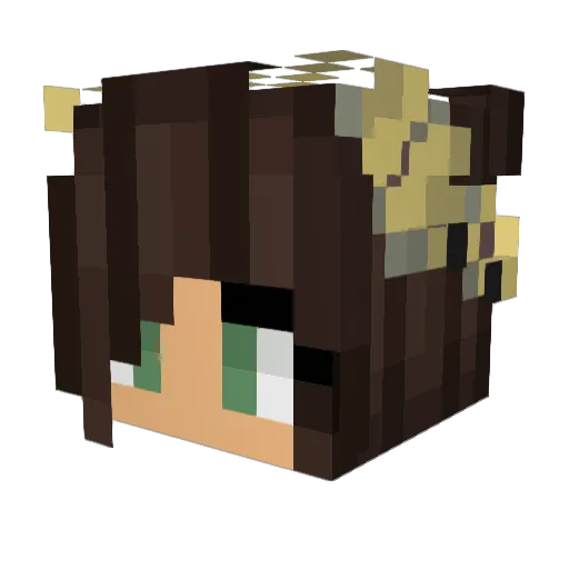 Tredxia37 Minecraft avatar head, 3D render