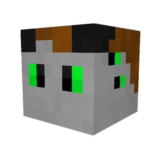 TreeFox25 Minecraft avatar head, 3D render