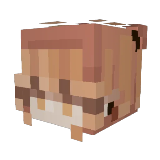 TreeHugger2424 Minecraft avatar head, 3D render