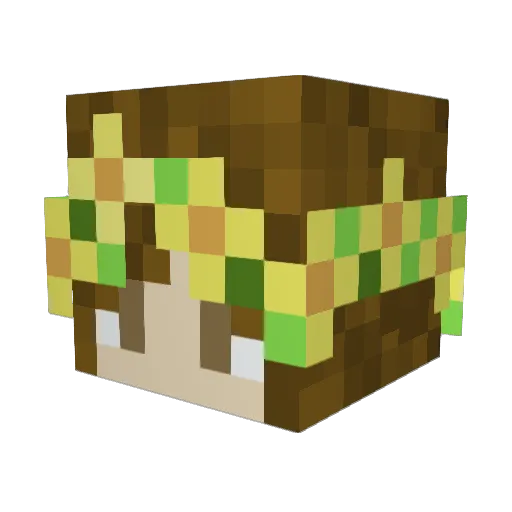 TreeHugger5678 Minecraft avatar head, 3D render