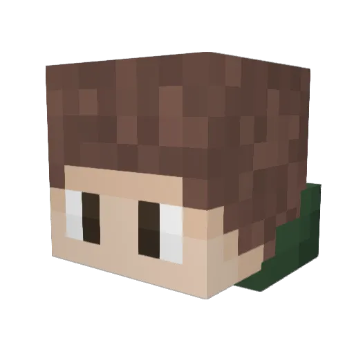TreeHugger7706 Minecraft avatar head, 3D render