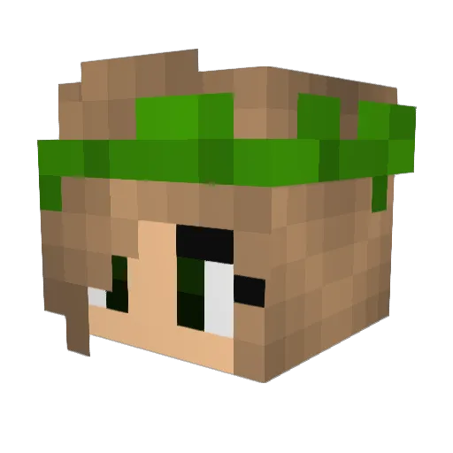 TreePersonOfLife Minecraft avatar head, 3D render