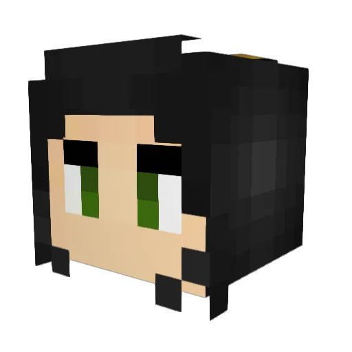 TreeSanchez Minecraft avatar head, 3D render