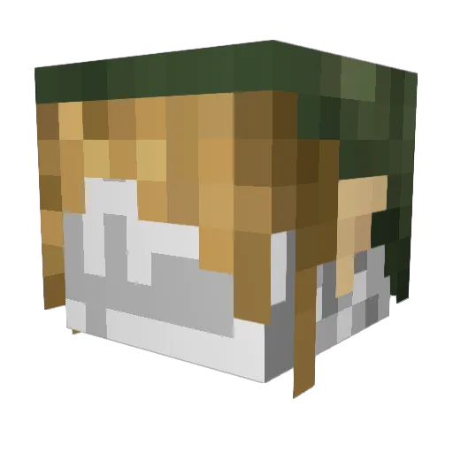 TreeSlayer0108 Minecraft avatar head, 3D render