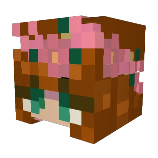 TreeTop494 Minecraft avatar head, 3D render