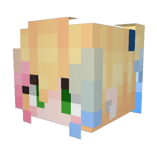 TreeTopLover6969 Minecraft avatar head, 3D render