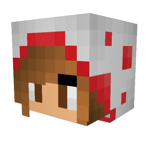 TreeTops112 Minecraft avatar head, 3D render