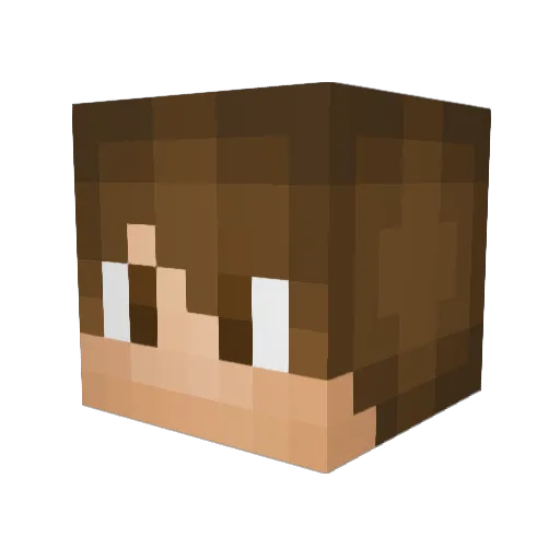 TreeTrunks_ Minecraft avatar head, 3D render