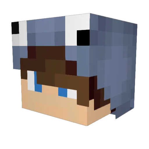 Tree_Puncher360 Minecraft avatar head, 3D render