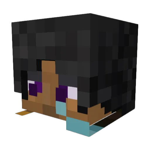 Tree_Trunk007 Minecraft avatar head, 3D render